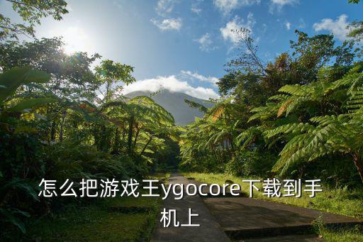 ygo手游怎么操作，掌上游戏机怎么退出游戏 我也不懂是什么 有口键 x键 三角键 o键 玩口