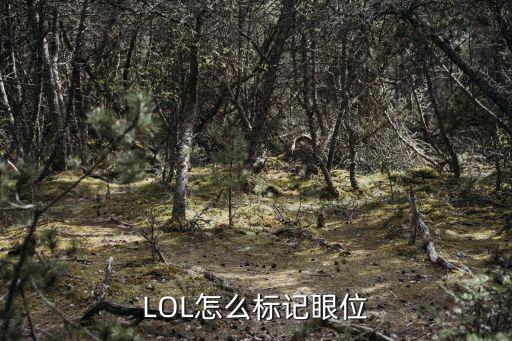 LOL怎么标记眼位