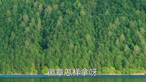 徽章怎样拿呀