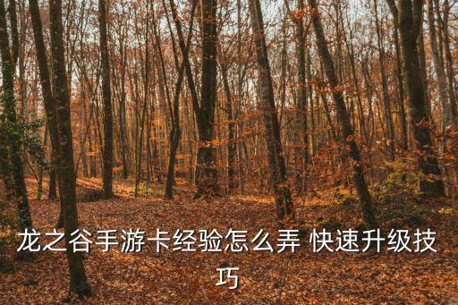 龙之谷手游卡经验怎么弄 快速升级技巧