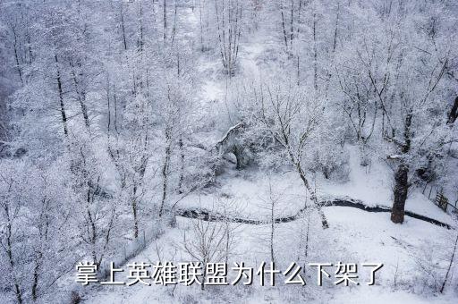 掌上英雄联盟为什么下架了