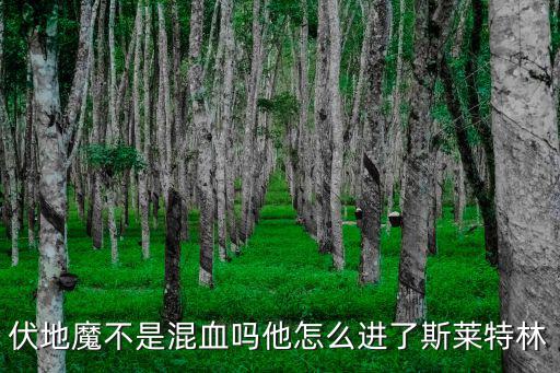 伏地魔不是混血吗他怎么进了斯莱特林