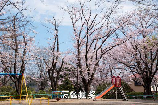 怎么抽奖