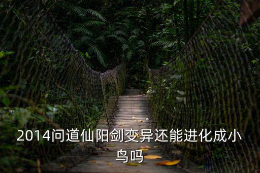 2014问道仙阳剑变异还能进化成小鸟吗