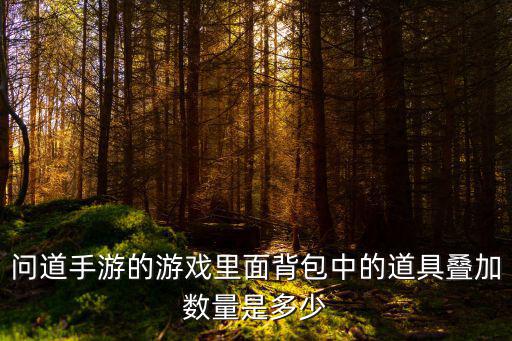 问道手游的游戏里面背包中的道具叠加数量是多少