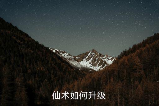 仙术如何升级