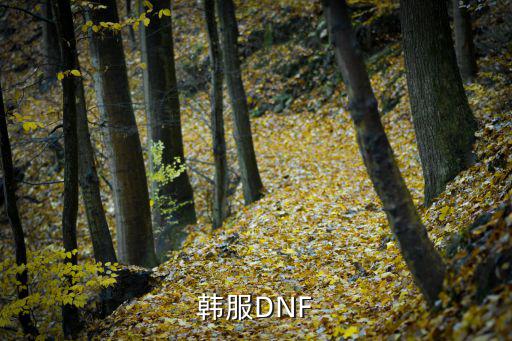 韩服DNF