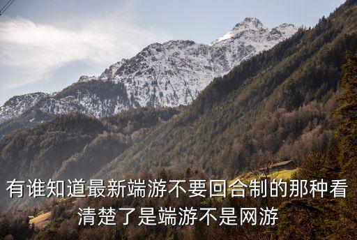 有谁知道最新端游不要回合制的那种看清楚了是端游不是网游