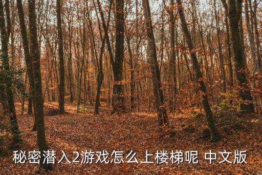 秘密潜入2游戏怎么上楼梯呢 中文版