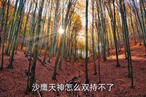 cf手游沙鹰天神怎么用双持，沙鹰天神怎么双持不了