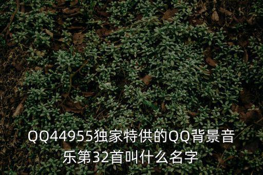 盛世芳华手游特供鱼怎么钓，QQ44955独家特供的QQ背景音乐第32首叫什么名字