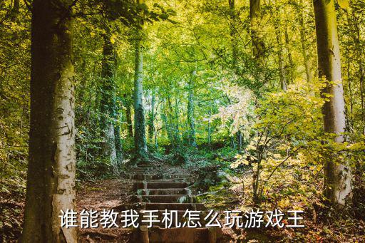 谁能教我手机怎么玩游戏王