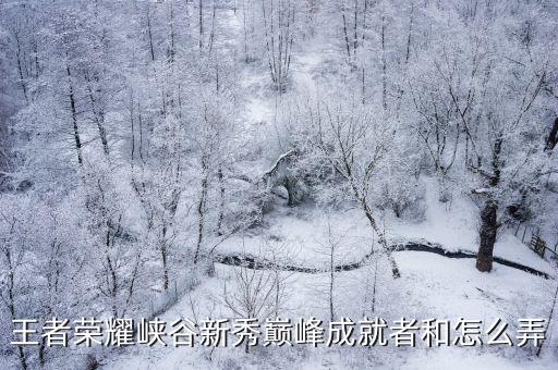 王者荣耀峡谷新秀巅峰成就者和怎么弄