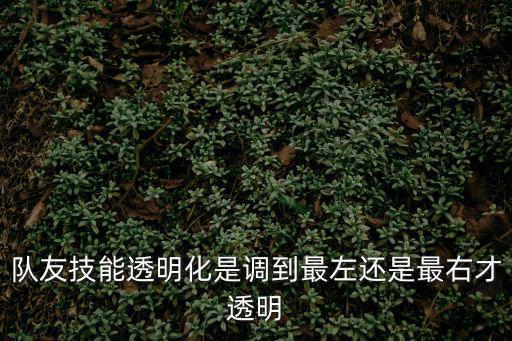 队友技能透明化是调到最左还是最右才透明