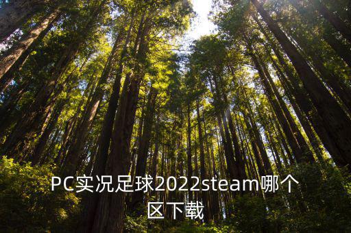 实况足球2022怎么下载手游，实况足球手游破解版下载在哪可以下载