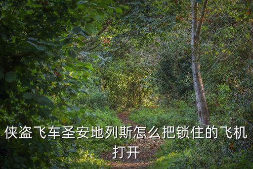 手游圣安地列斯锁住的飞机怎么开，侠盗猎车手圣安地列斯怎么开上锁的飞机