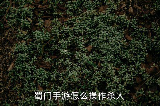 蜀门手游怎么操作杀人