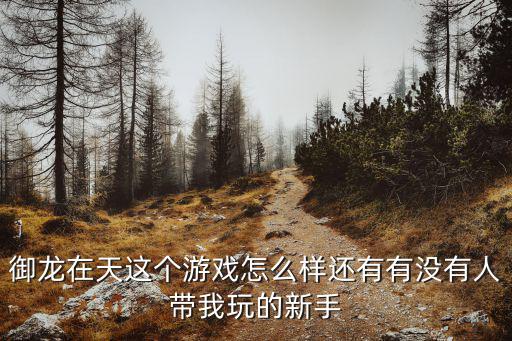 御龙在天这个游戏怎么样还有有没有人带我玩的新手