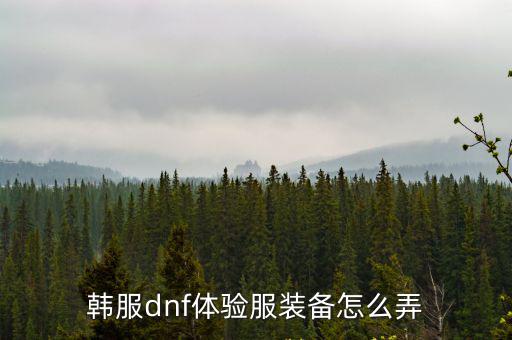 韩服dnf体验服装备怎么弄