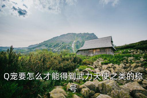 Q宠要怎么才能得到武力天使之类的称号