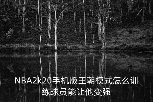 NBA2k20手机版王朝模式怎么训练球员能让他变强