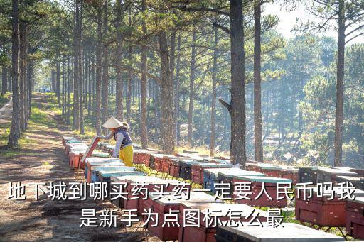 地下城到哪买药买药一定要人民币吗我是新手为点图标怎么最