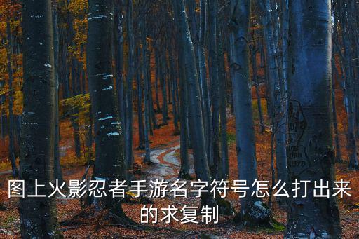 图上火影忍者手游名字符号怎么打出来的求复制