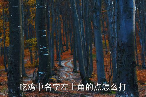 吃鸡中名字左上角的点怎么打