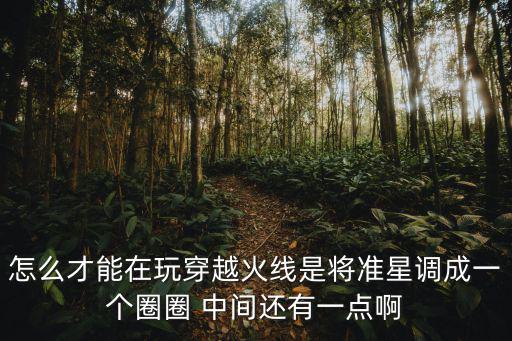 怎么才能在玩穿越火线是将准星调成一个圈圈 中间还有一点啊