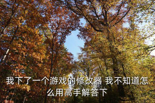 我下了一个游戏的修改器 我不知道怎么用高手解答下