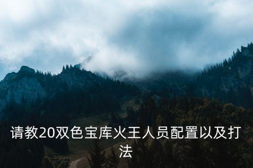 请教20双色宝库火王人员配置以及打法