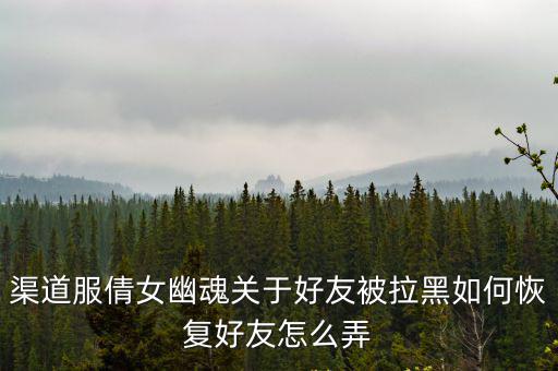 渠道服倩女幽魂关于好友被拉黑如何恢复好友怎么弄
