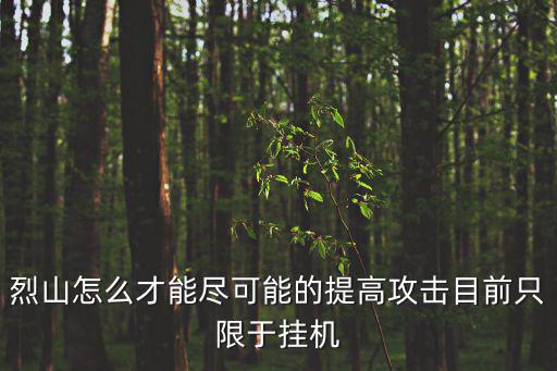 烈山怎么才能尽可能的提高攻击目前只限于挂机