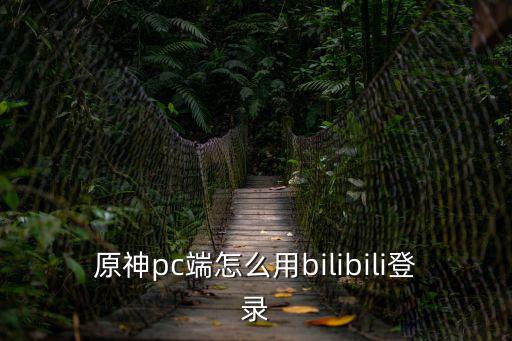 怎么用b站账号登录原神手游推荐，原神b站账号如何登录ps5
