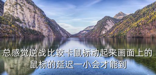 总感觉逆战比较卡鼠标动起来画面上的鼠标的延迟一小会才能到