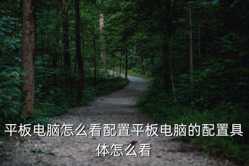 平板电脑怎么看配置平板电脑的配置具体怎么看