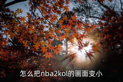 怎么把nba2kol的画面变小