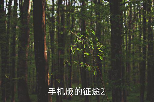 手机版的征途2