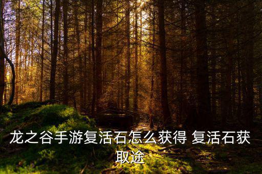 龙之谷手游复活石怎么获得 复活石获取途