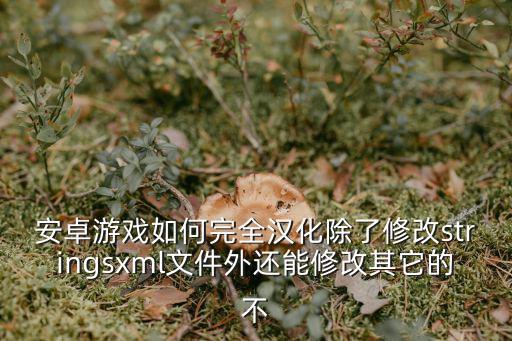 安卓游戏如何完全汉化除了修改stringsxml文件外还能修改其它的不