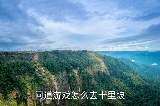 问道手游络书桃花源10关怎么过，问道手游怎么10元换1e