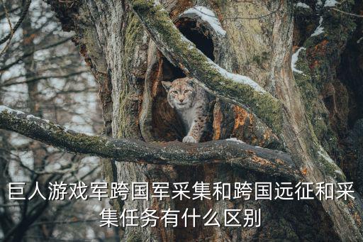 巨人游戏军跨国军采集和跨国远征和采集任务有什么区别