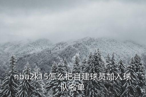 nba2k15怎么把自建球员加入球队名单