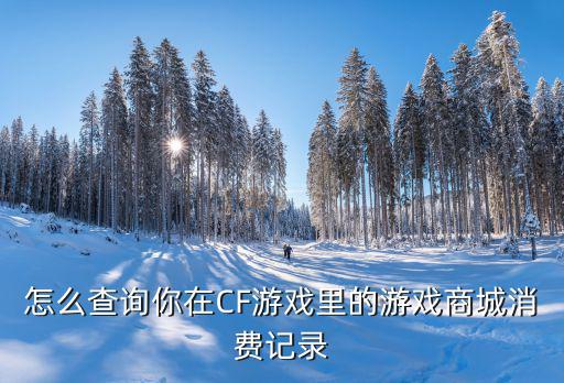 cf手游赏金币流水怎么查，怎么查询你在CF游戏里的游戏商城消费记录