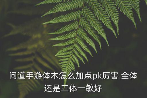 问道手游体木怎么加点pk厉害 全体还是三体一敏好