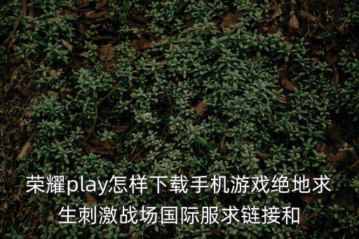 荣耀play怎样下载手机游戏绝地求生刺激战场国际服求链接和