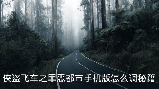 侠盗飞车之罪恶都市手机版怎么调秘籍