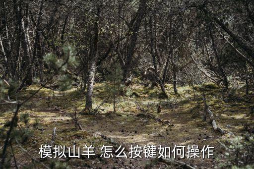 模拟山羊 怎么按键如何操作