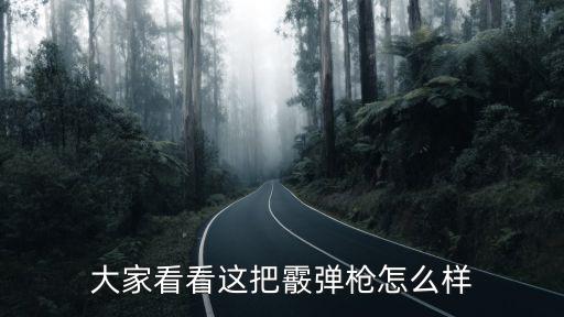 大家看看这把霰弹枪怎么样