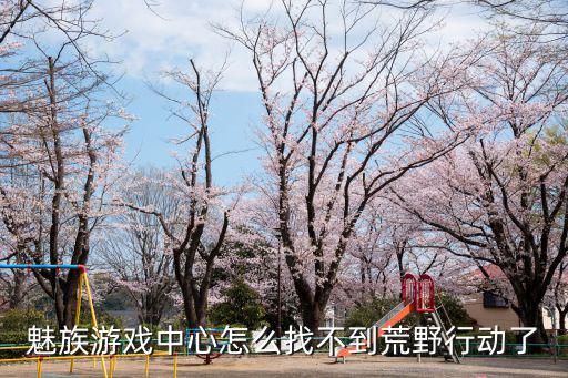 荒野行动的手游怎么玩不了，为什么我手机上下不了荒野行动